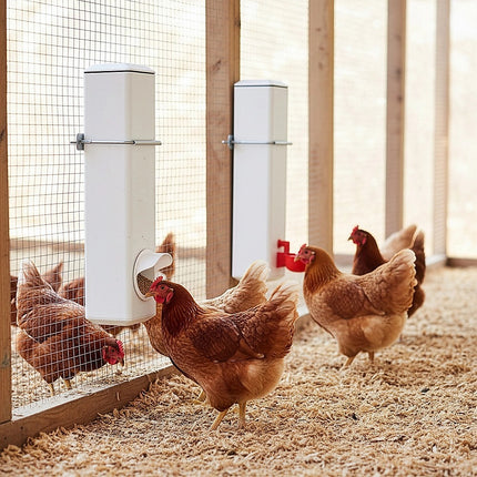 Chicken Bird Feeder Water Dispenser Automatic Waterer Poultry Food Drinker 4L 4