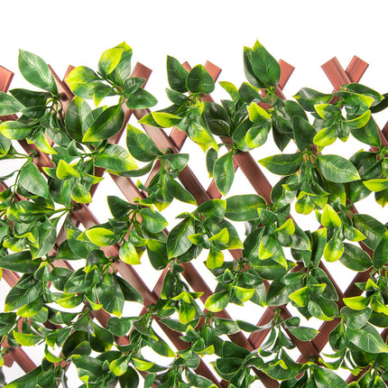 Jasmine Artificial Hedge Extendable Trellis / Screen 2 Meter By 1 Meter UV Resistant (PVC) 3