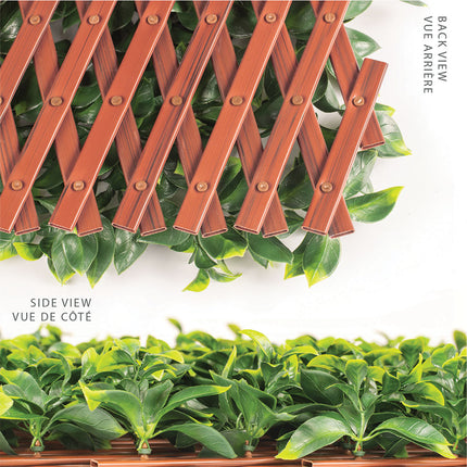 Jasmine Artificial Hedge Extendable Trellis / Screen 2 Meter By 1 Meter UV Resistant (PVC) 4