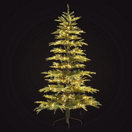 Jingle Jollys Christmas Tree 2.1M LED Sparse Xmas Tree 860 Tips Party Decoration 2